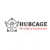 Hubcage Paid Guest Posting Services